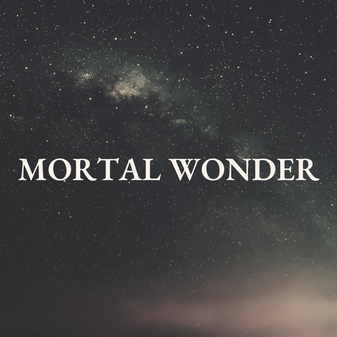 Mortal Wonder